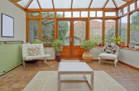 free Daisy Green conservatory quotes